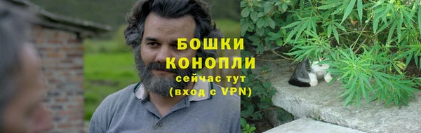 спайс Ладушкин