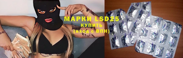 дурь Лабытнанги