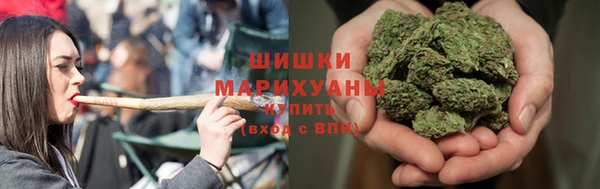 дурь Лабытнанги