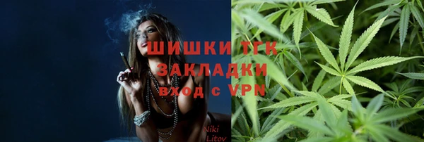 дурь Лабытнанги